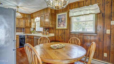 Tiny photo for 116 Smalling Street, Hampton, TN 37658 (MLS # 9985550)
