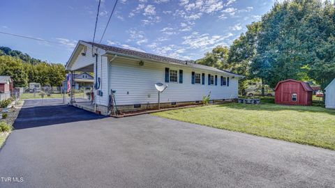 Tiny photo for 116 Smalling Street, Hampton, TN 37658 (MLS # 9985550)