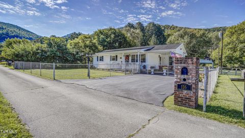 Tiny photo for 116 Smalling Street, Hampton, TN 37658 (MLS # 9985550)