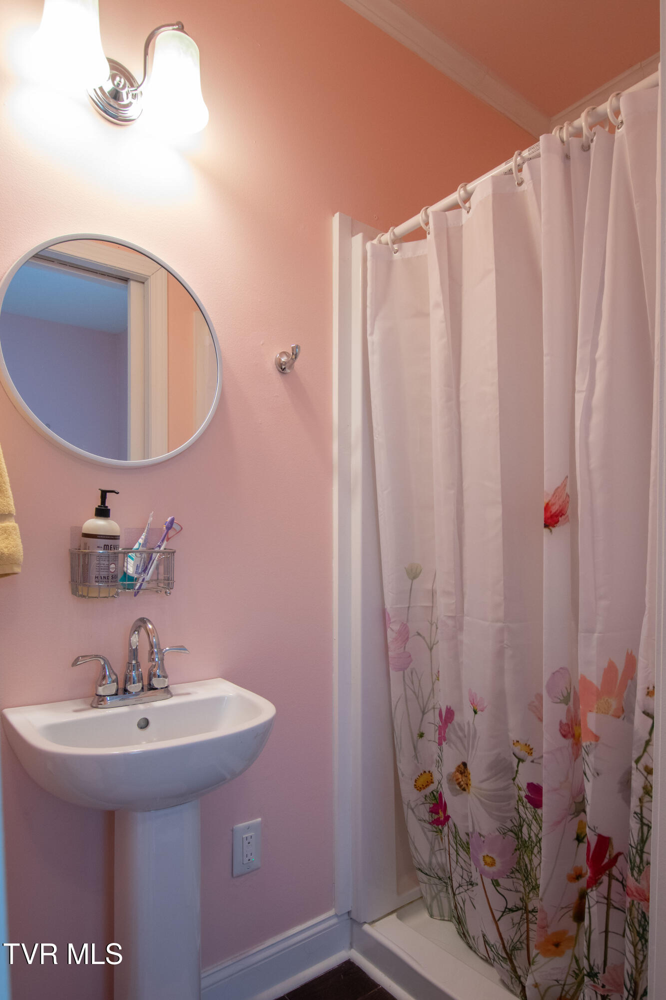 435 Sulpher Spring Road, Chilhowie, Virginia image 23