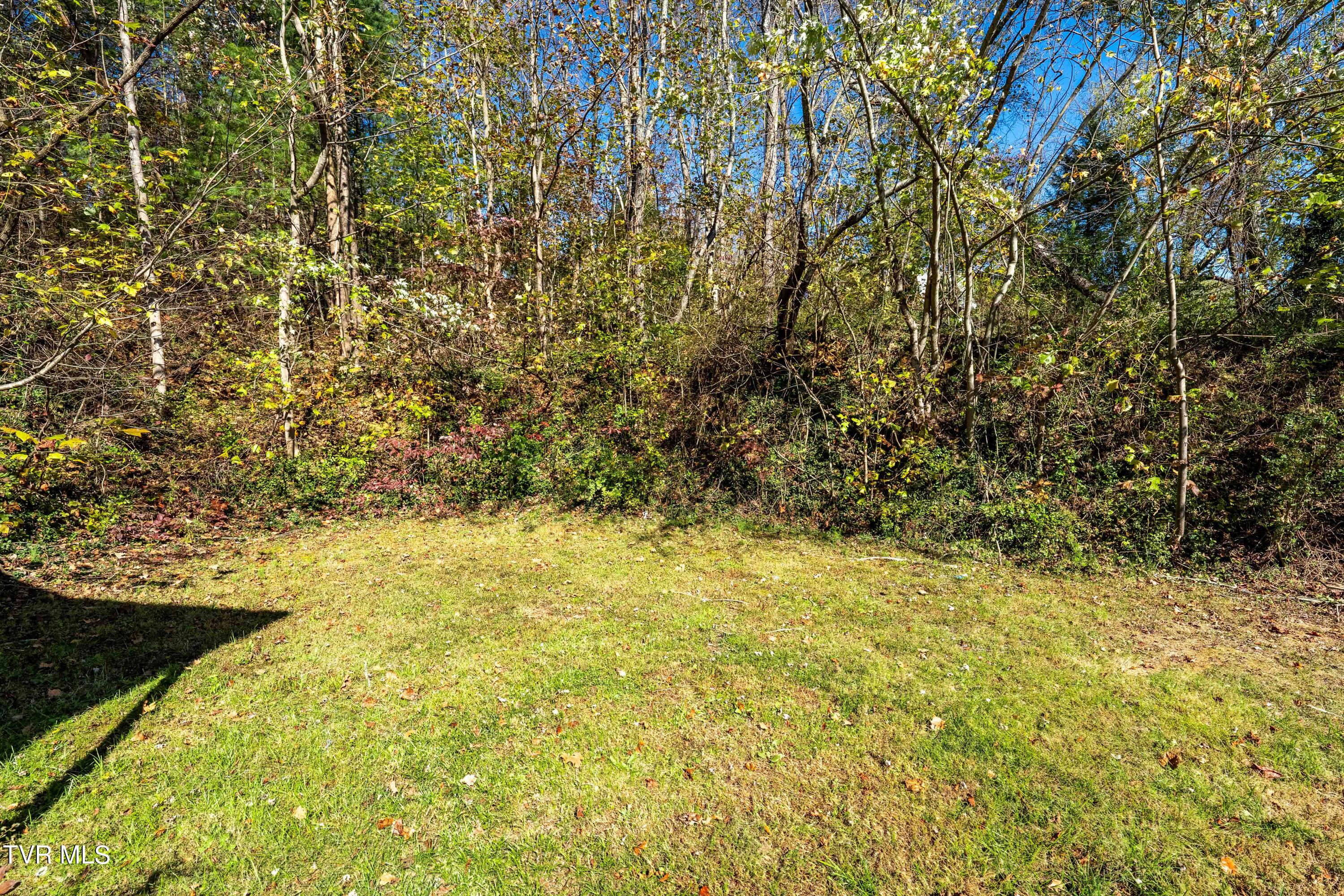 Johnson City, Tennessee 37601, United States, 2 Bedrooms Bedrooms, ,1 BathroomBathrooms,Residential,Pending,36016