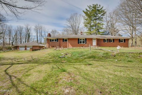 Homes For Sale - 36181 Plum Creek Road<br/> Glade Spring, VA 24340