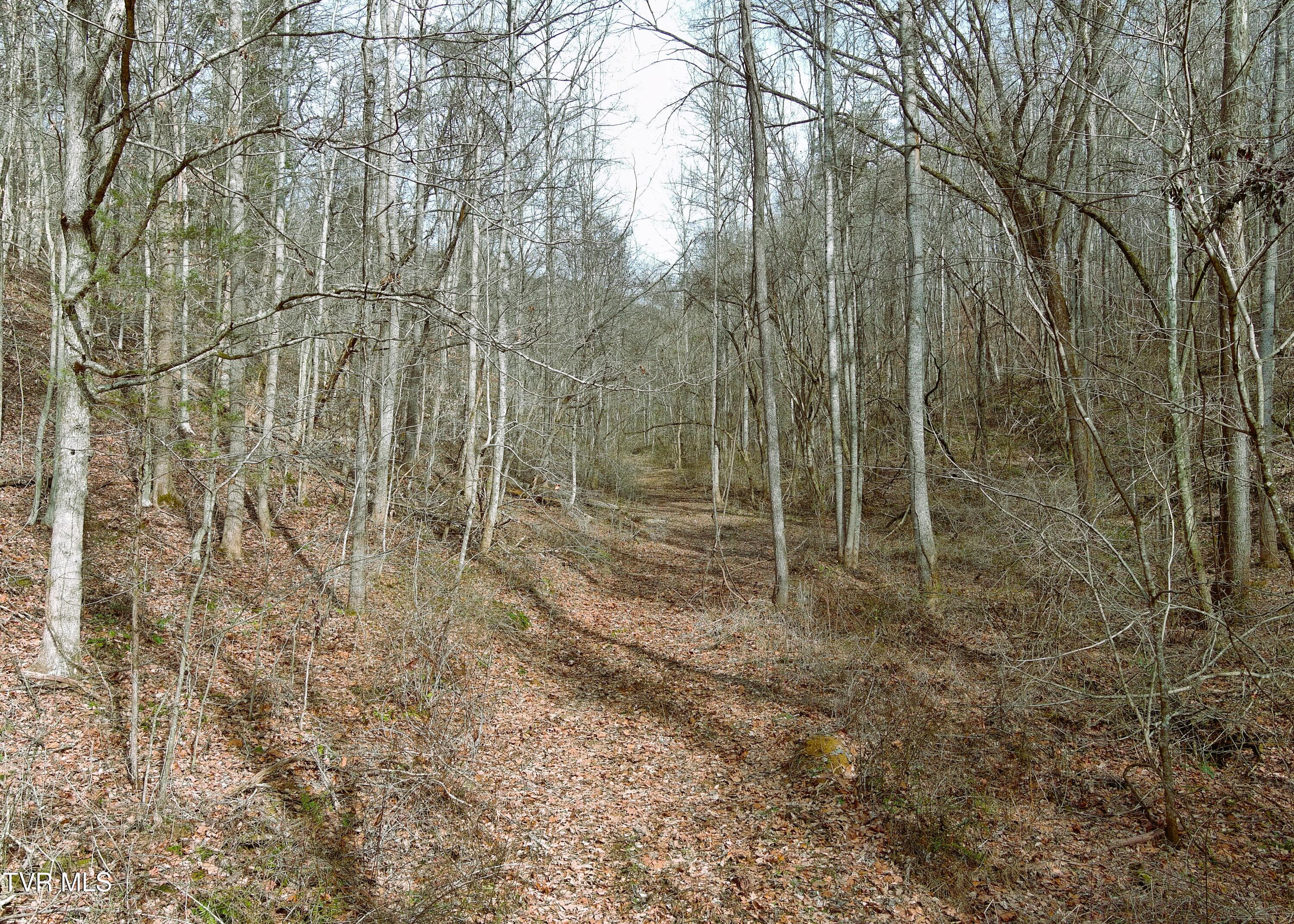 000 Speedwell Church Road, Bulls Gap, Tennessee image 16
