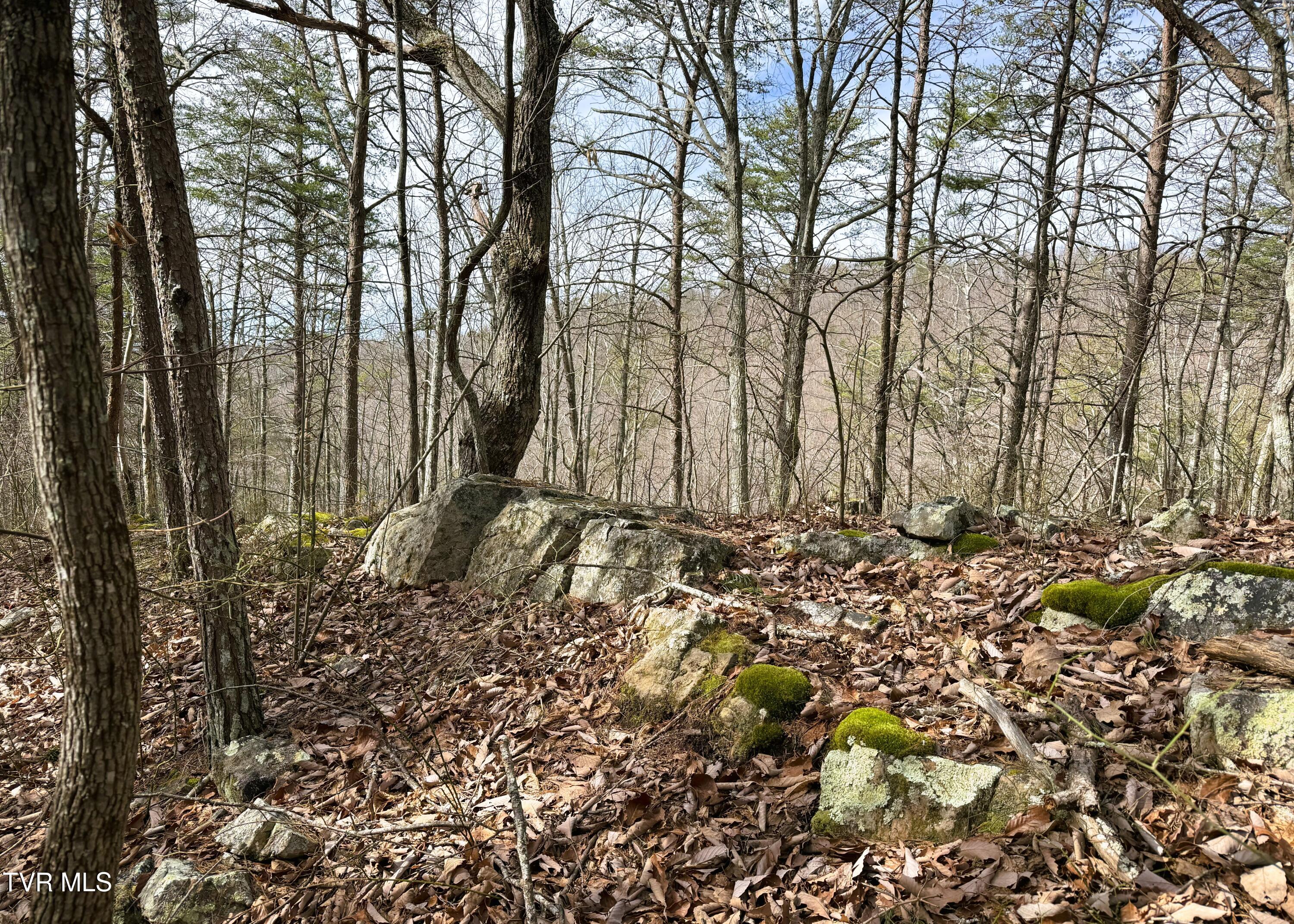000 Speedwell Church Road, Bulls Gap, Tennessee image 8
