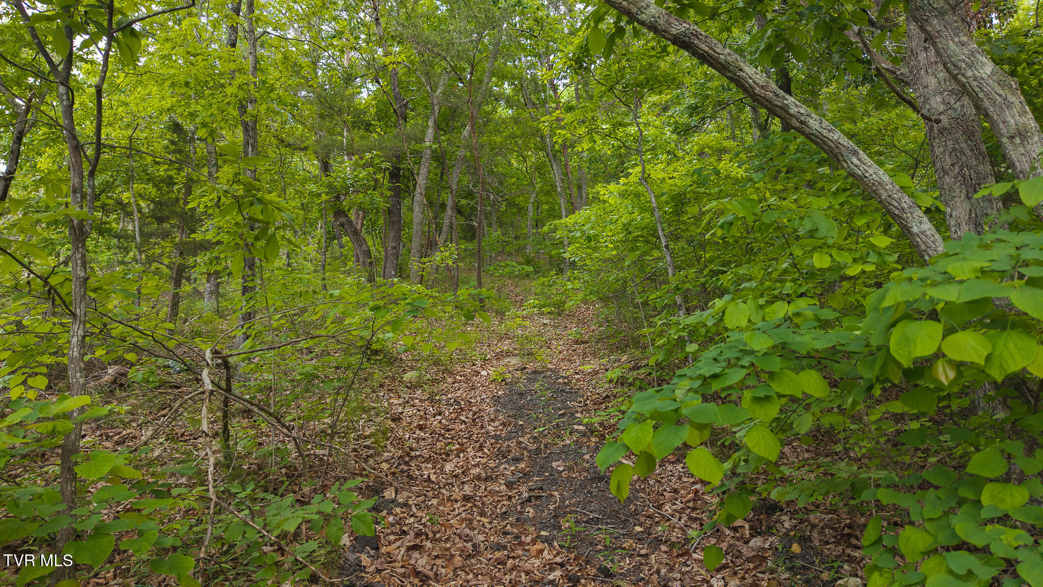 25e Highway, Thorn Hill, Tennessee image 2