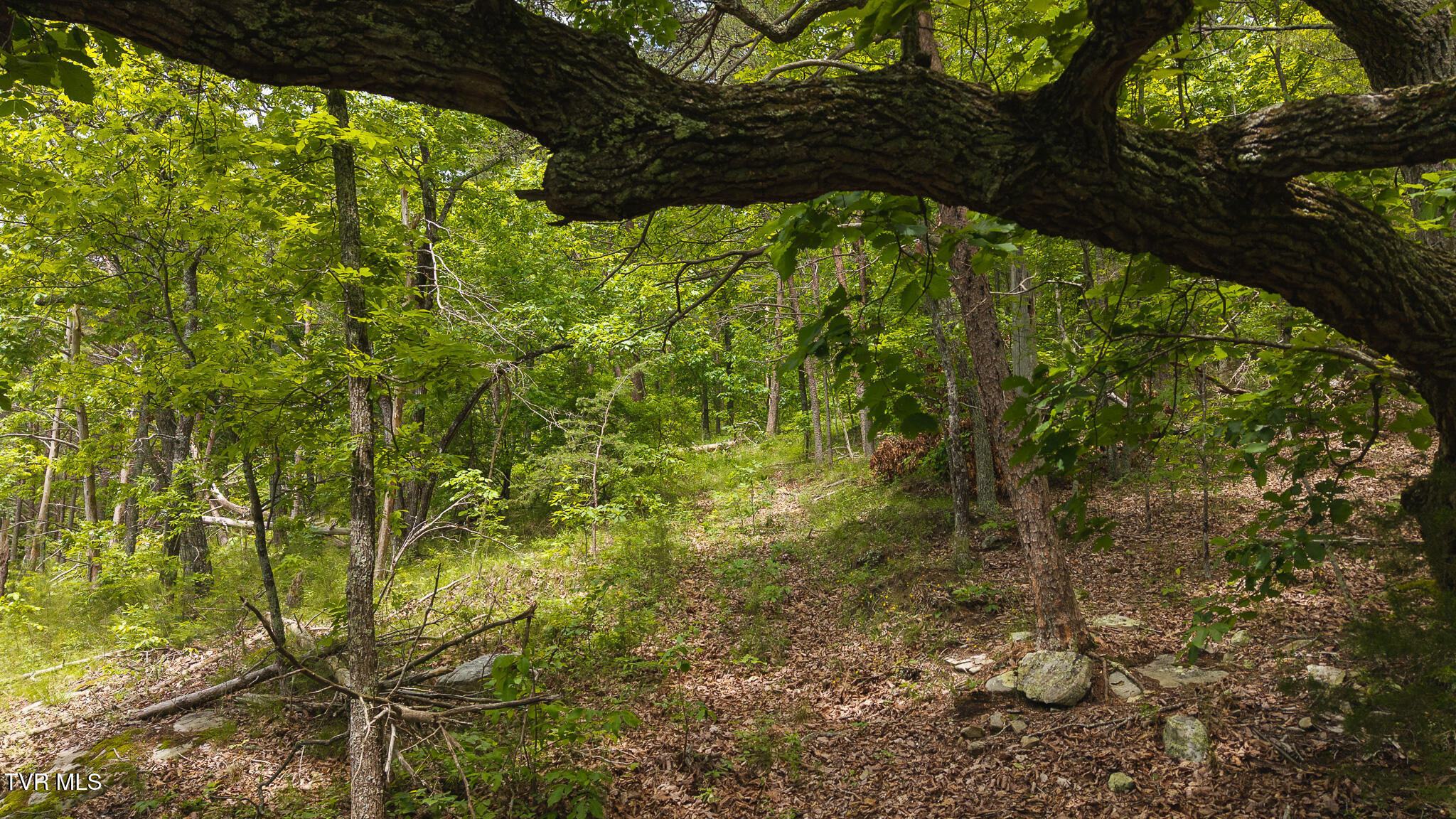 25e Highway, Thorn Hill, Tennessee image 7