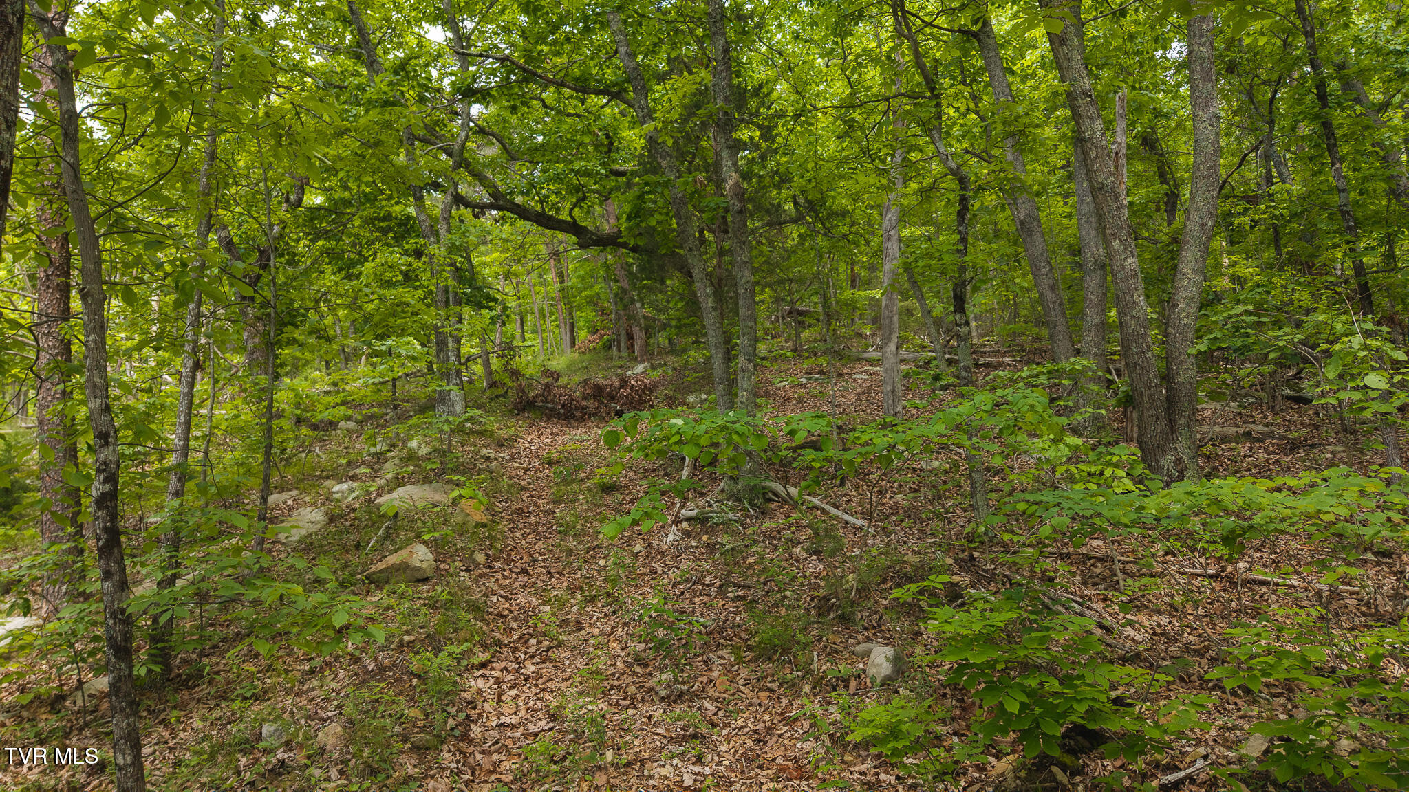 25e Highway, Thorn Hill, Tennessee image 5