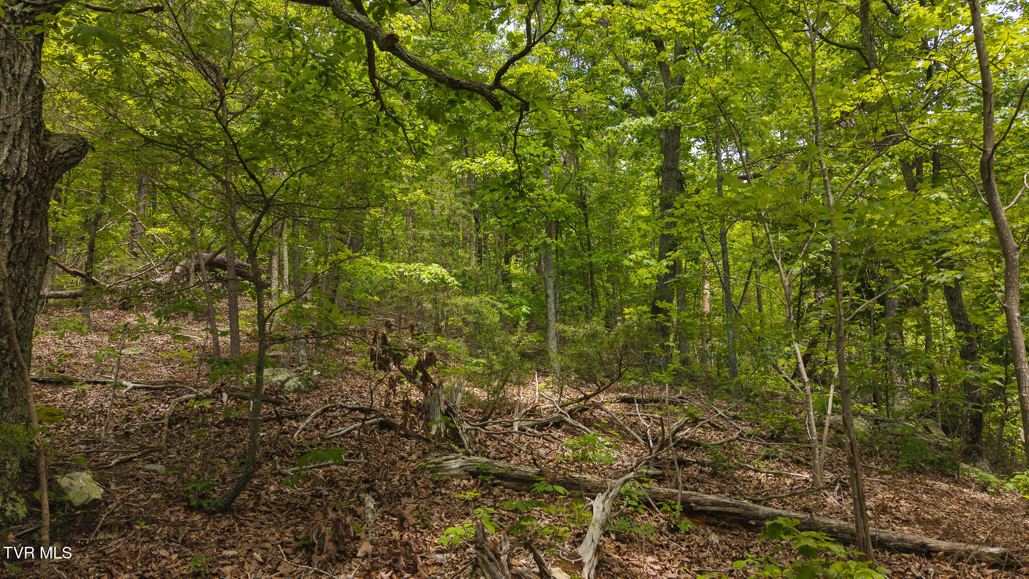 25e Highway, Thorn Hill, Tennessee image 8