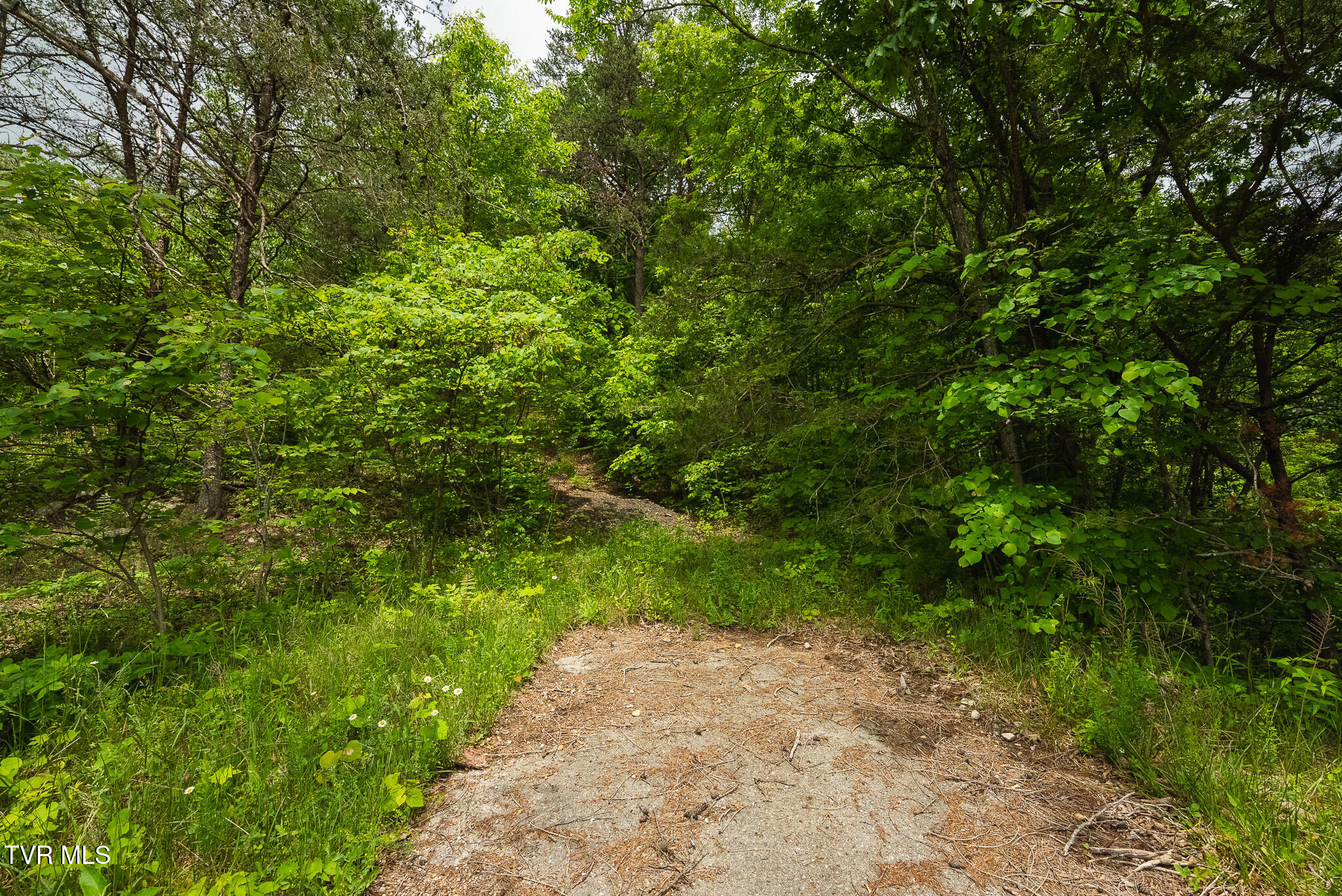 25e Highway, Thorn Hill, Tennessee image 26