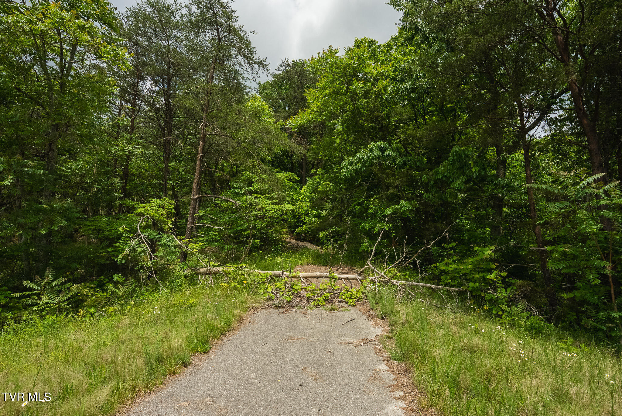 25e Highway, Thorn Hill, Tennessee image 22