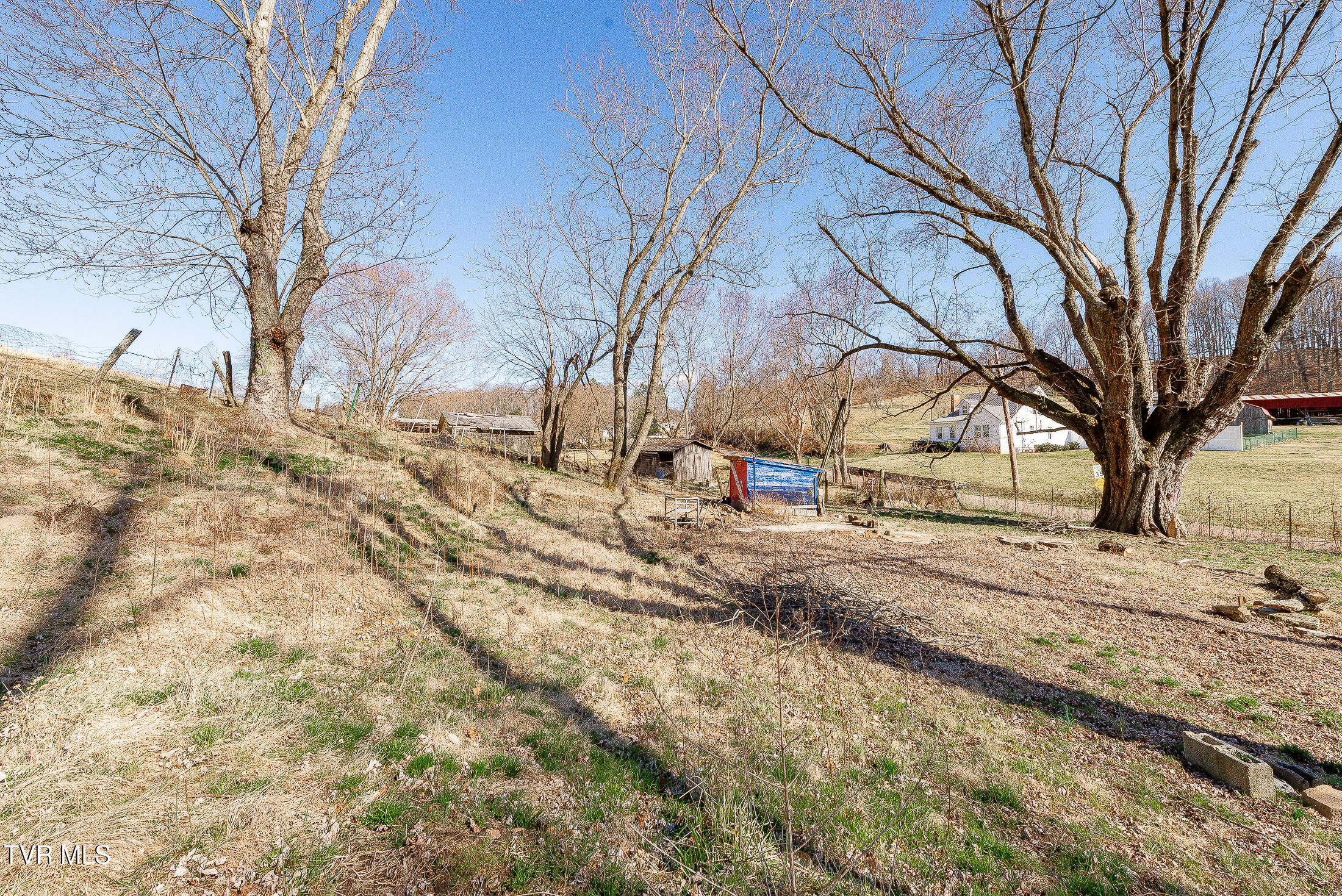 732 Shadowtown Road, Blountville, Tennessee image 10