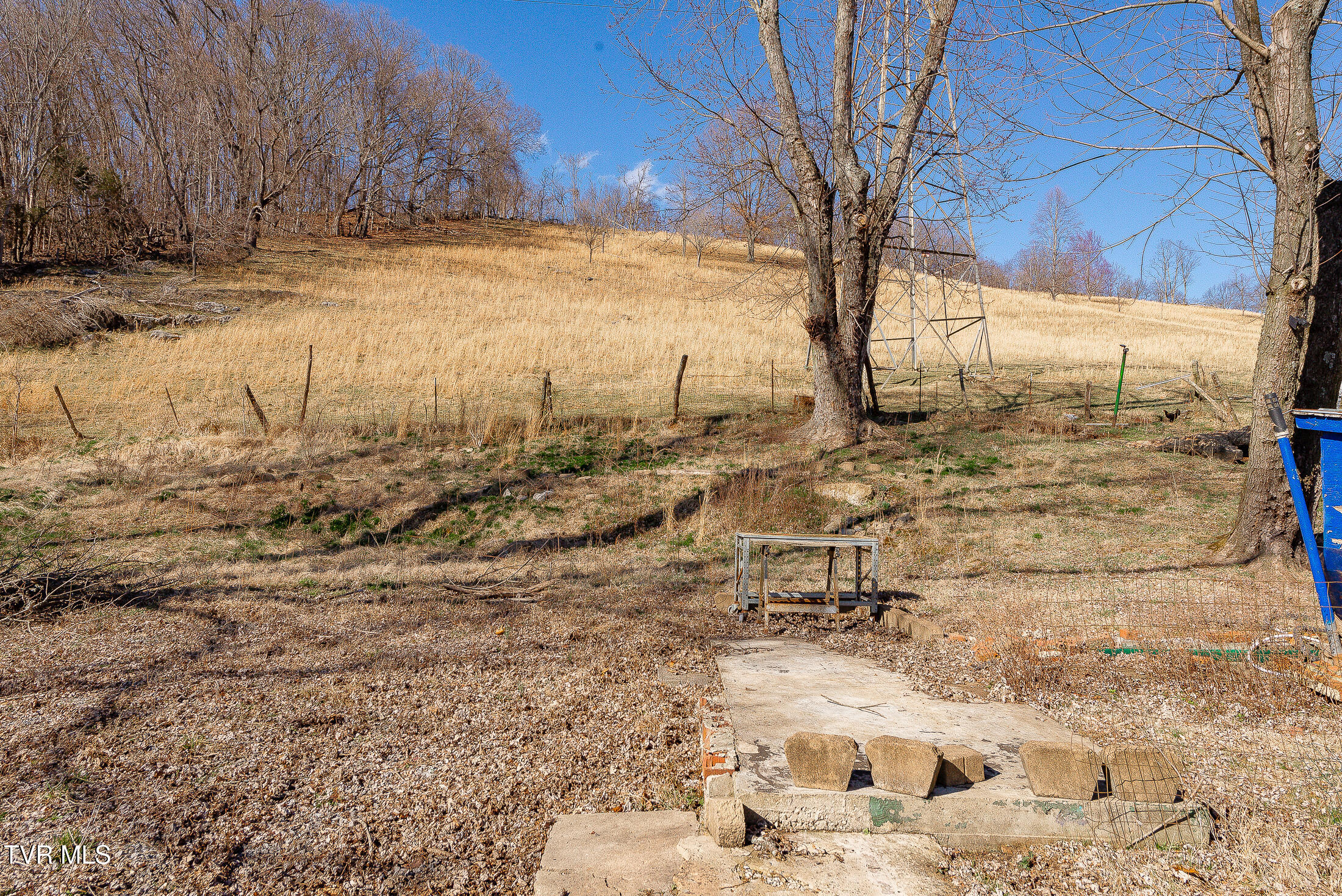 732 Shadowtown Road, Blountville, Tennessee image 11