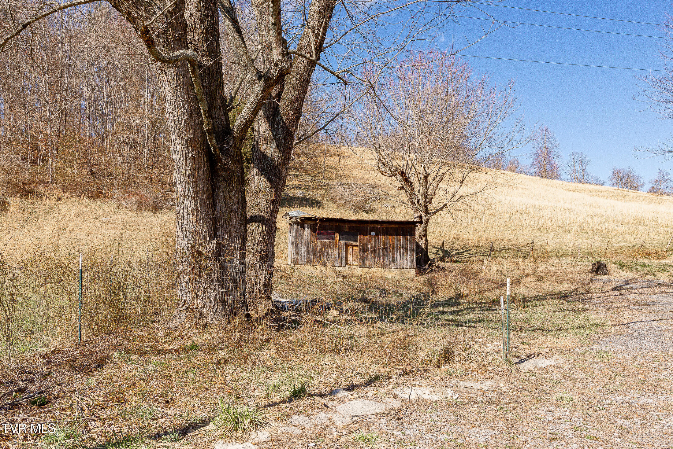 732 Shadowtown Road, Blountville, Tennessee image 3