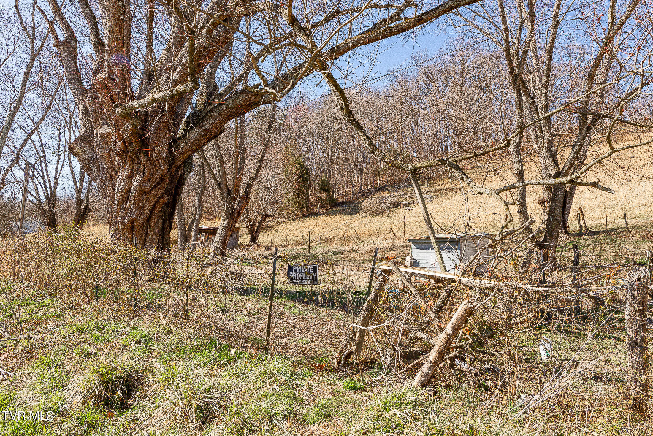 732 Shadowtown Road, Blountville, Tennessee image 22