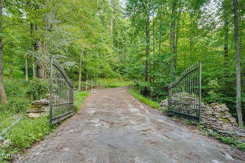 Vacant Land For Sale - TBD Cove Ridge Road<br/> Butler, TN 37640