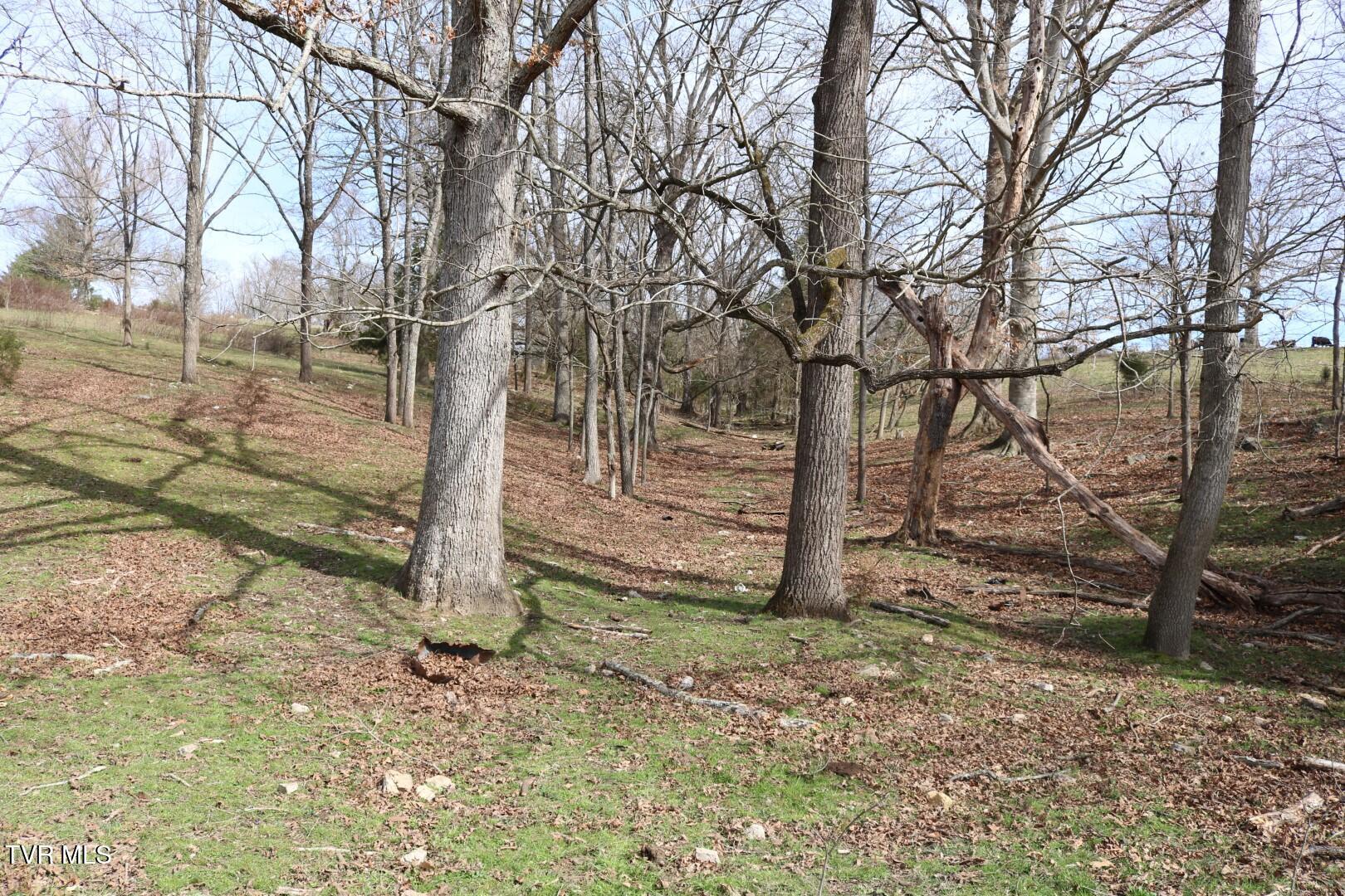 875 Pates Hill Road, Mosheim, Tennessee image 29