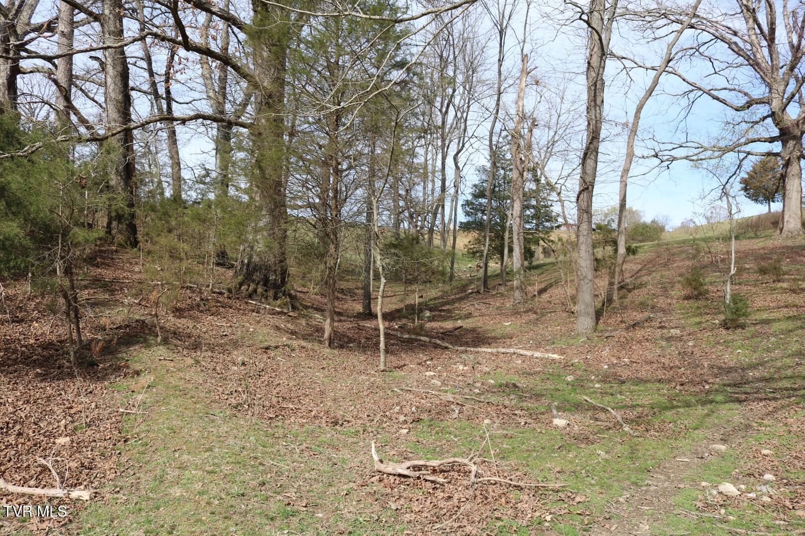 875 Pates Hill Road, Mosheim, Tennessee image 30