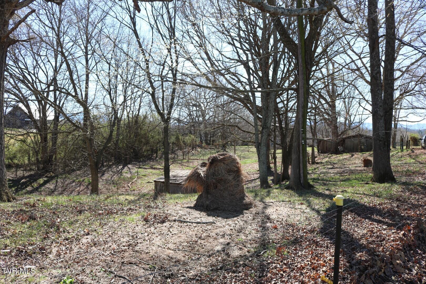 875 Pates Hill Road, Mosheim, Tennessee image 14