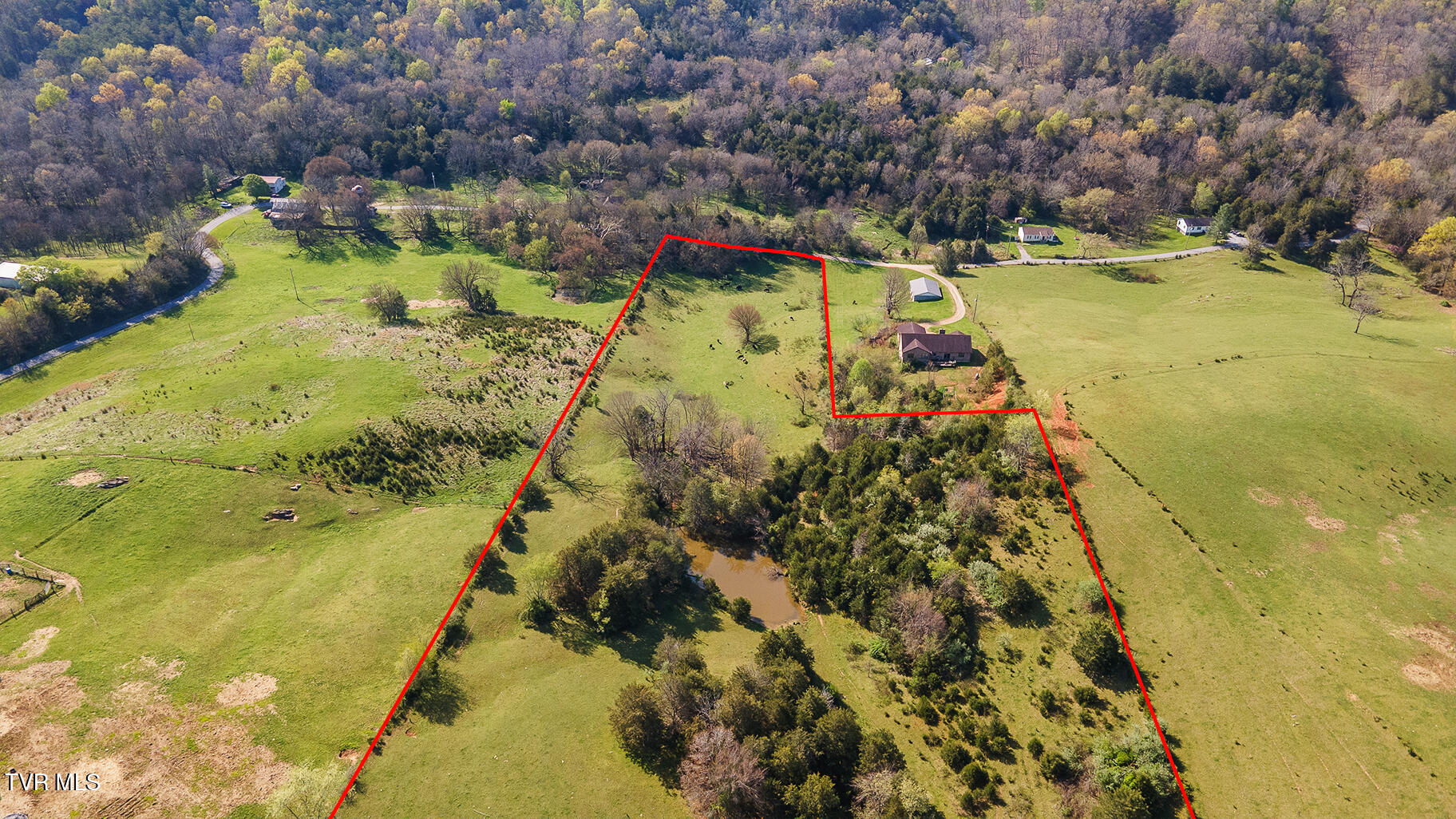 875 Pates Hill Road, Mosheim, Tennessee image 4