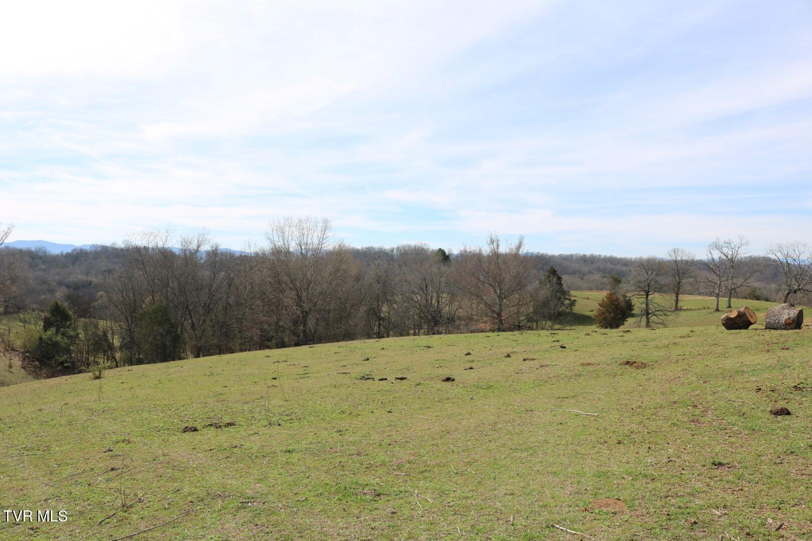 875 Pates Hill Road, Mosheim, Tennessee image 22