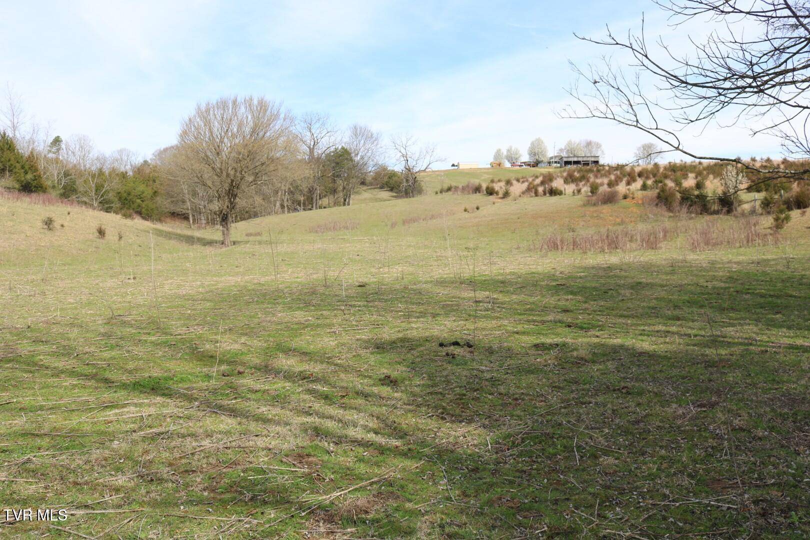 875 Pates Hill Road, Mosheim, Tennessee image 37
