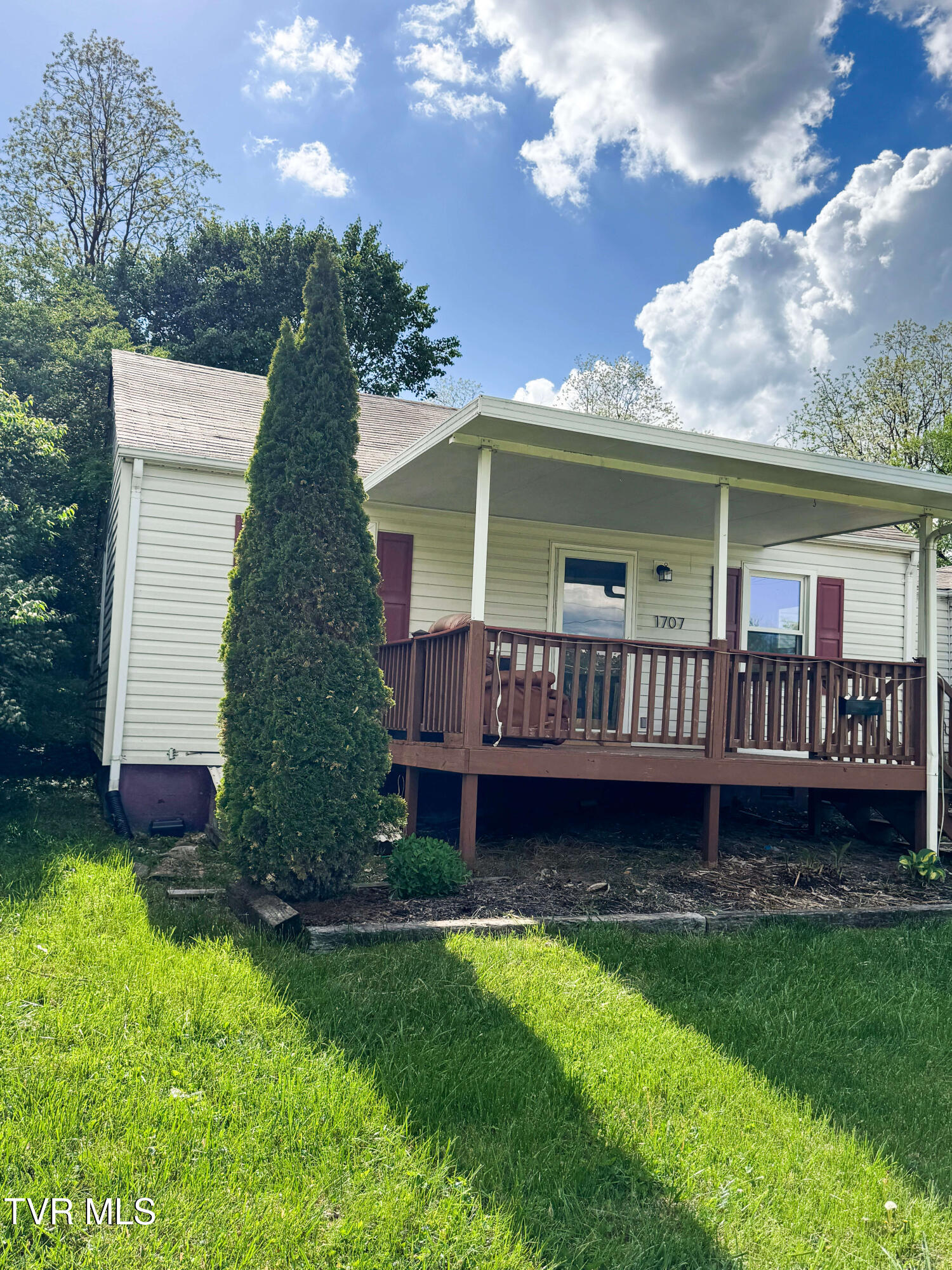 1707 Oakland Avenue, Johnson City, Tennessee image 3