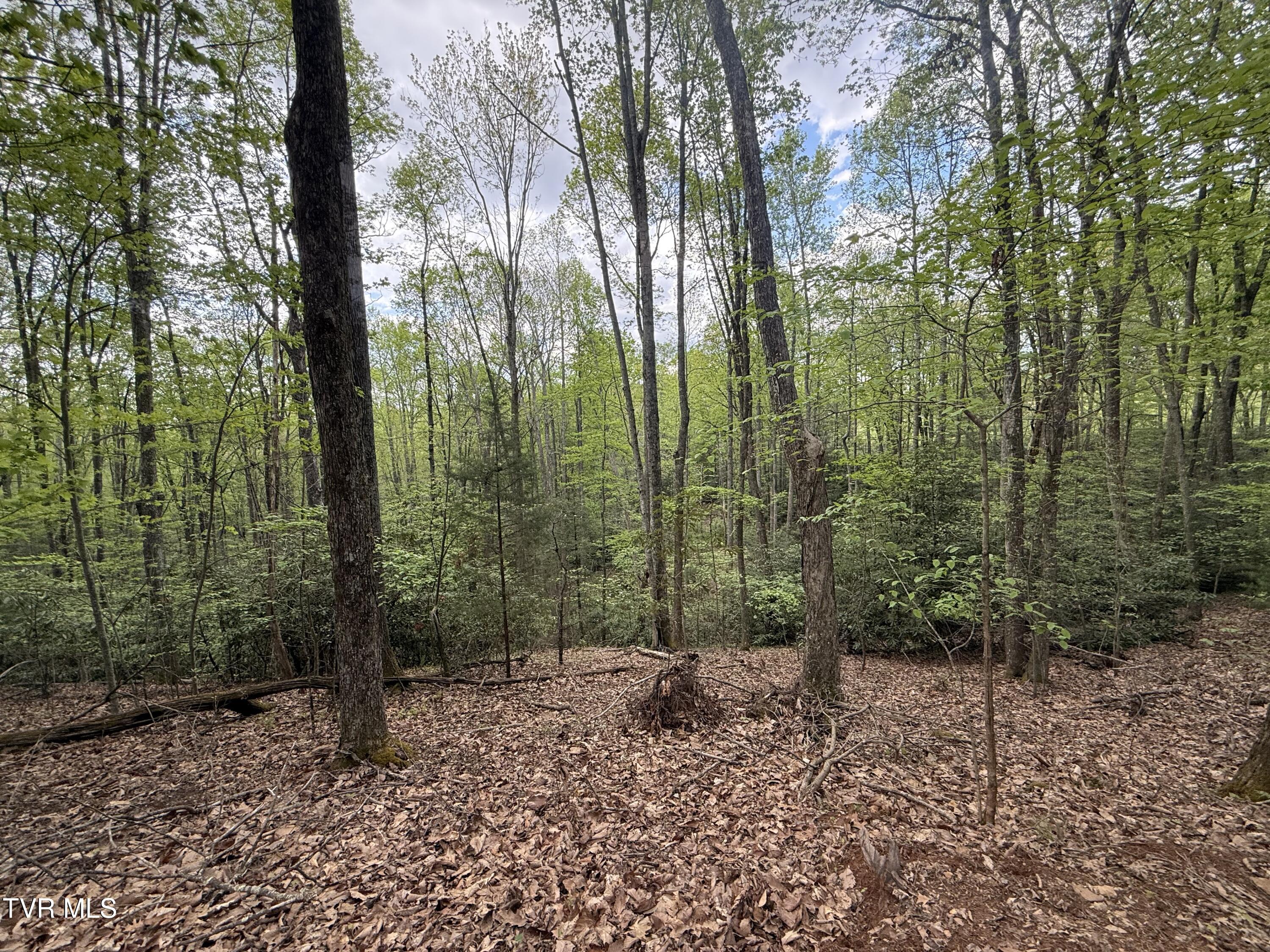57/Ac Tbd Powder Branch Road, Elizabethton, Tennessee image 10