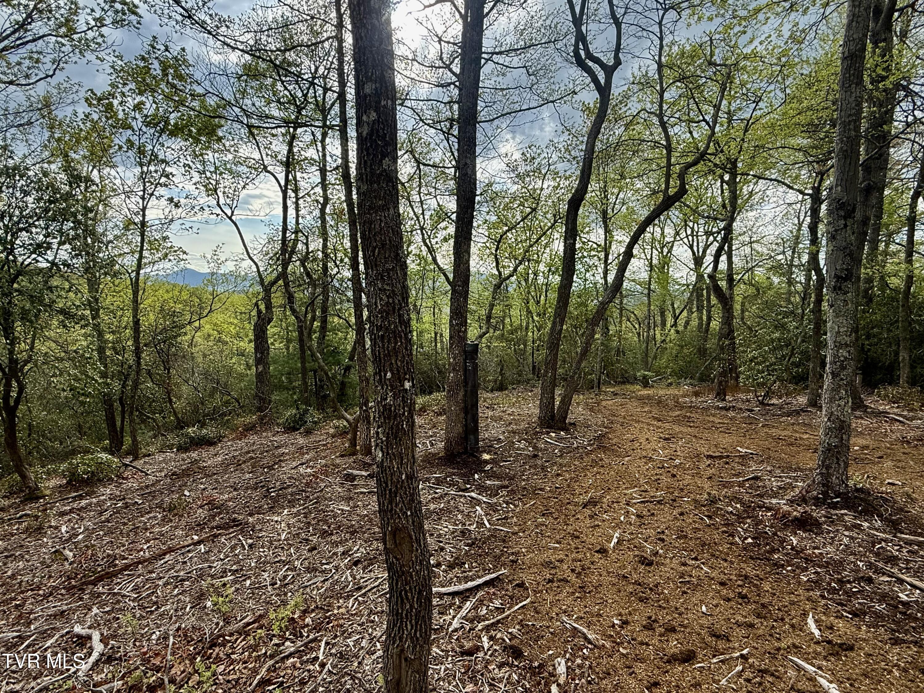 57/Ac Tbd Powder Branch Road, Elizabethton, Tennessee image 8