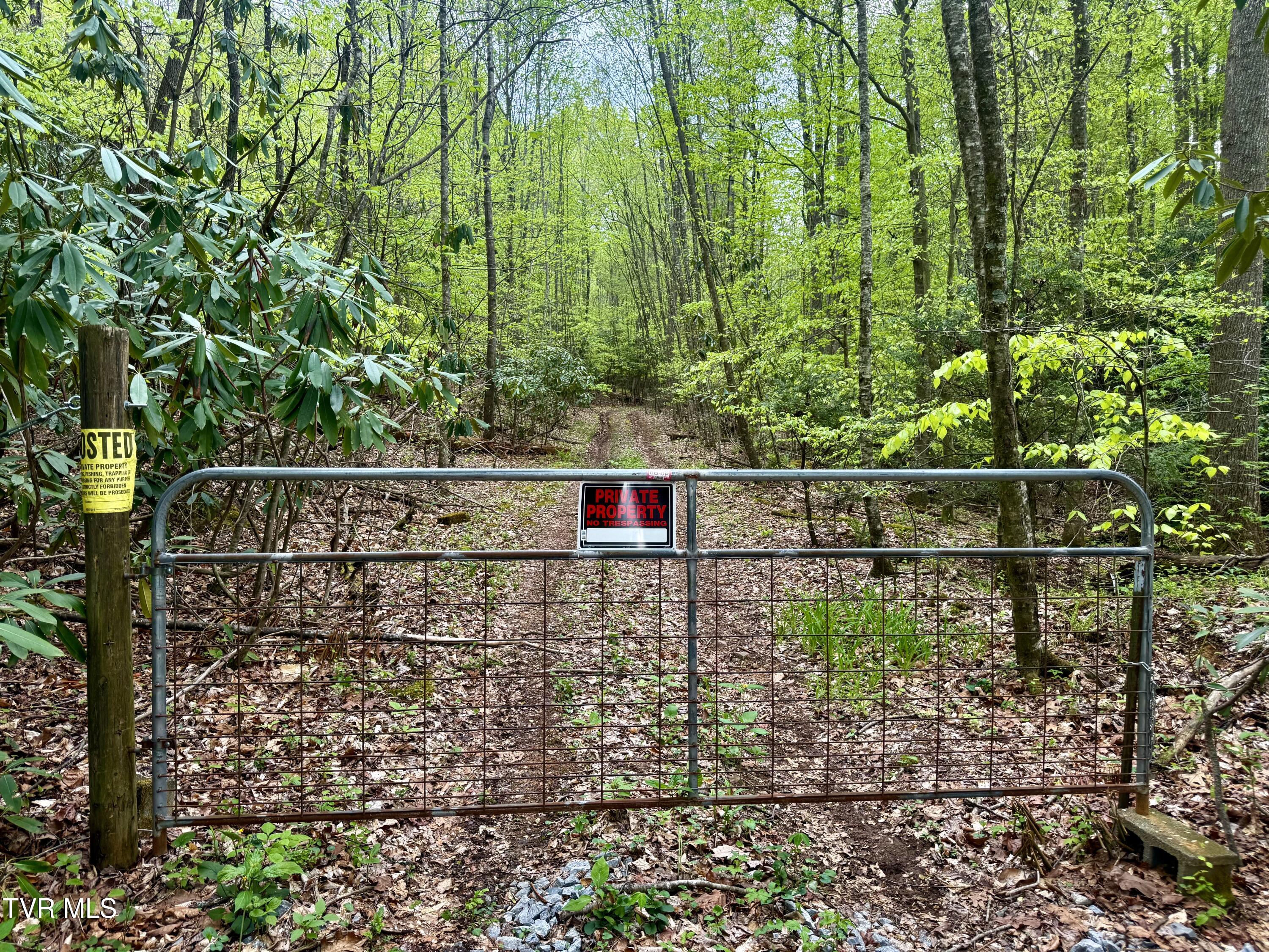 57/Ac Tbd Powder Branch Road, Elizabethton, Tennessee image 1
