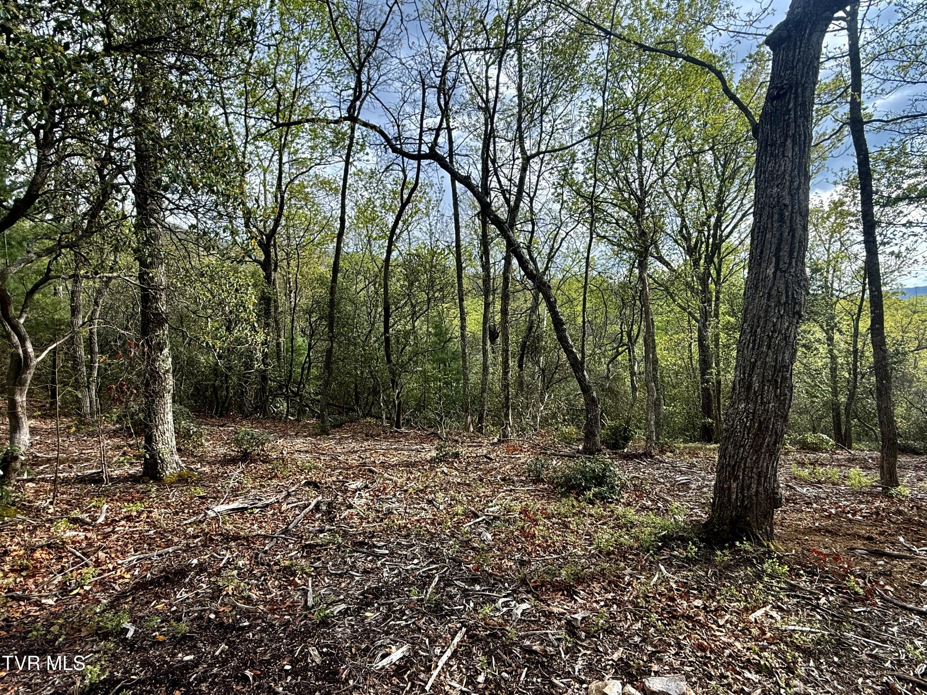 57/Ac Tbd Powder Branch Road, Elizabethton, Tennessee image 7