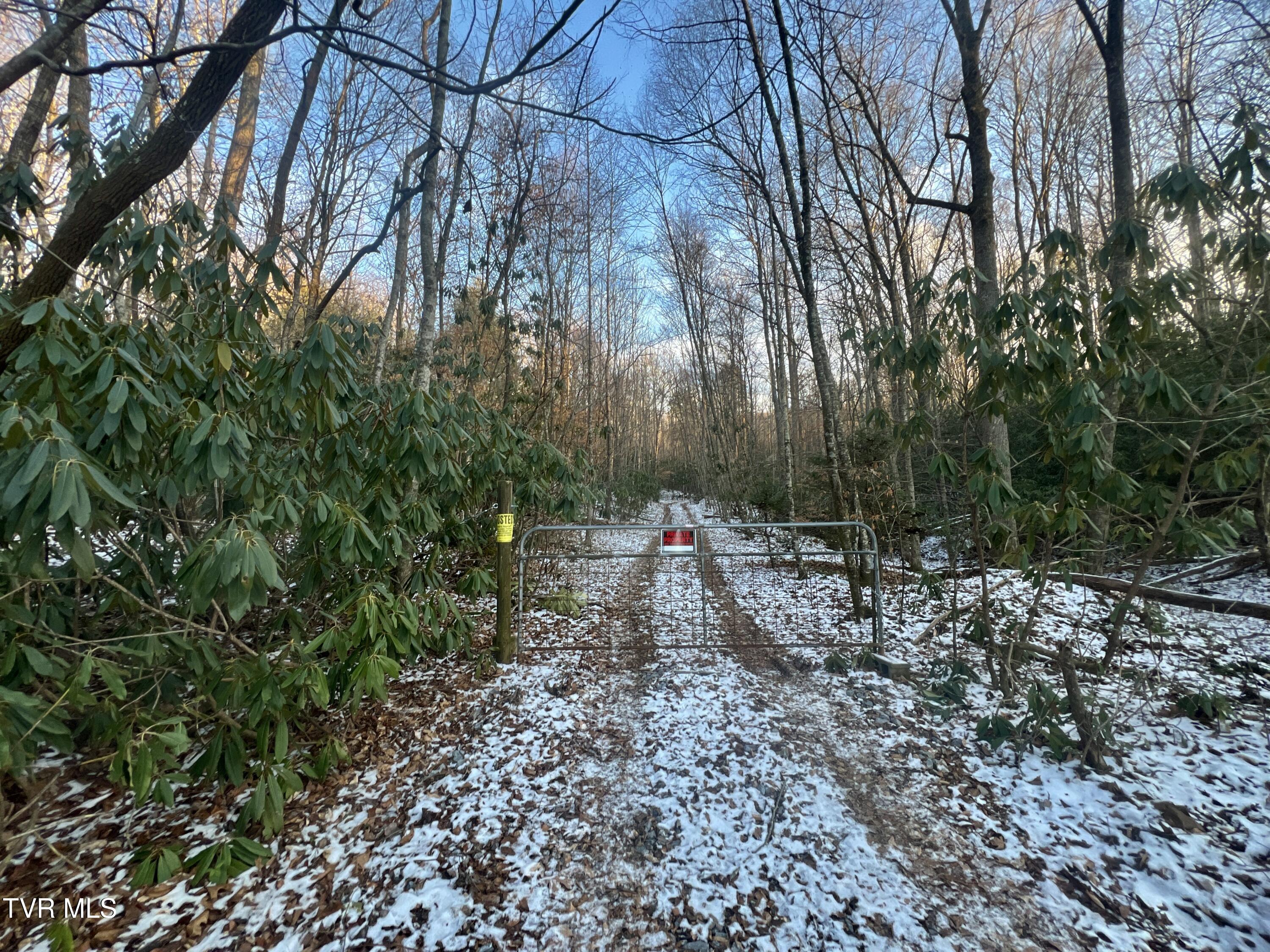 57.67/Ac Tbd Powder Branch Road, Elizabethton, Tennessee image 1