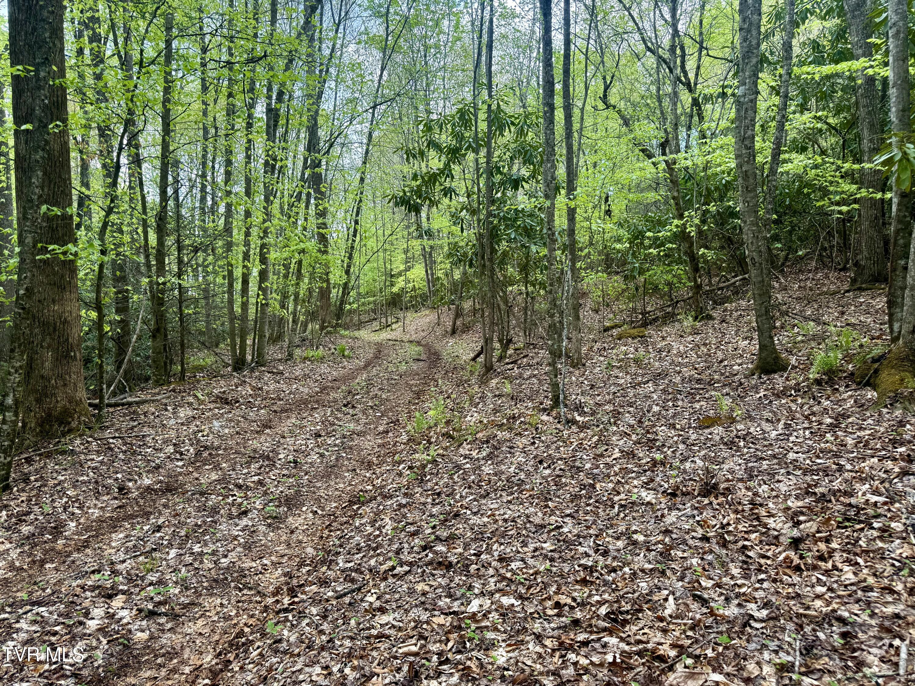 57/Ac Tbd Powder Branch Road, Elizabethton, Tennessee image 5