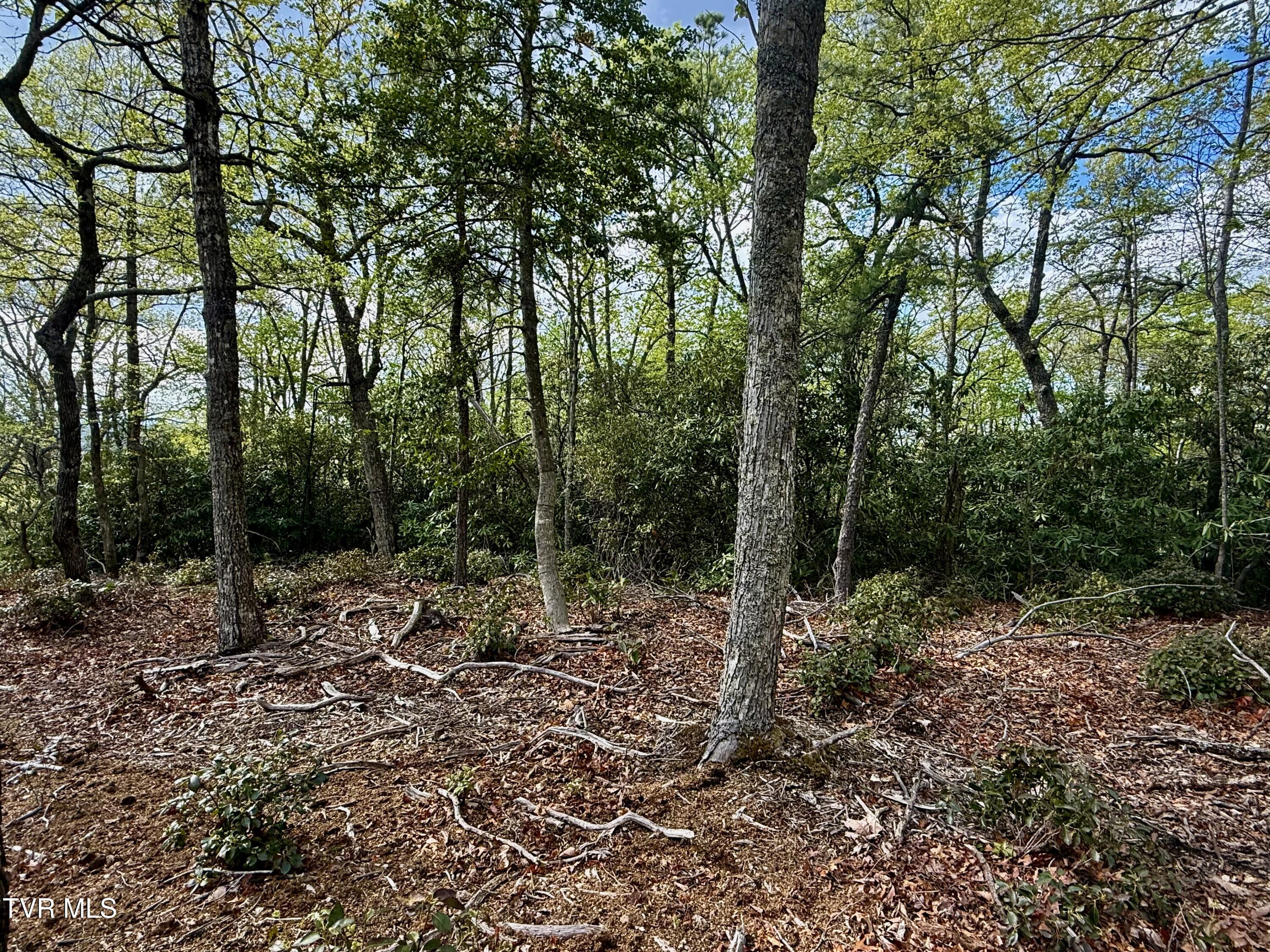 57/Ac Tbd Powder Branch Road, Elizabethton, Tennessee image 9