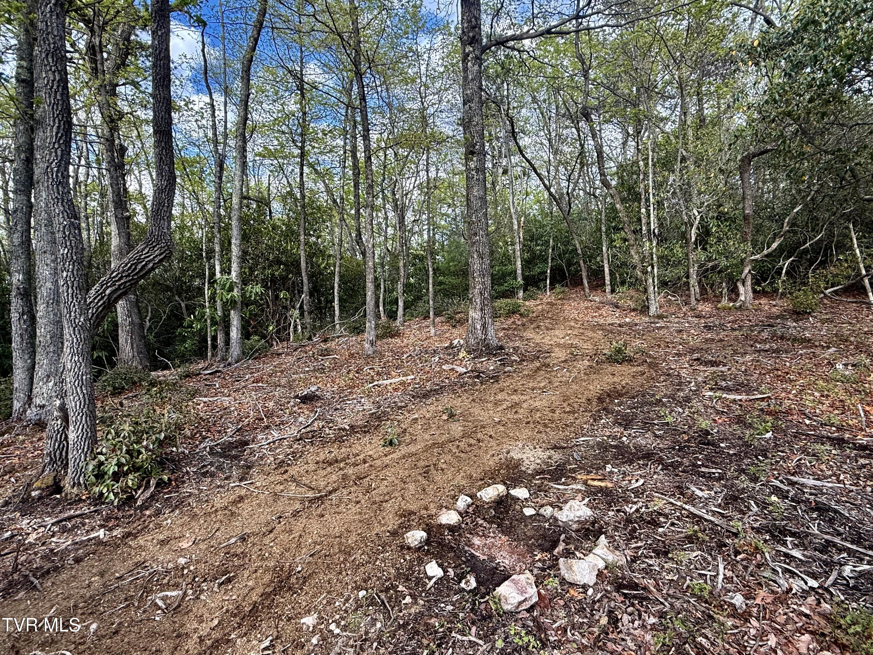57/Ac Tbd Powder Branch Road, Elizabethton, Tennessee image 6