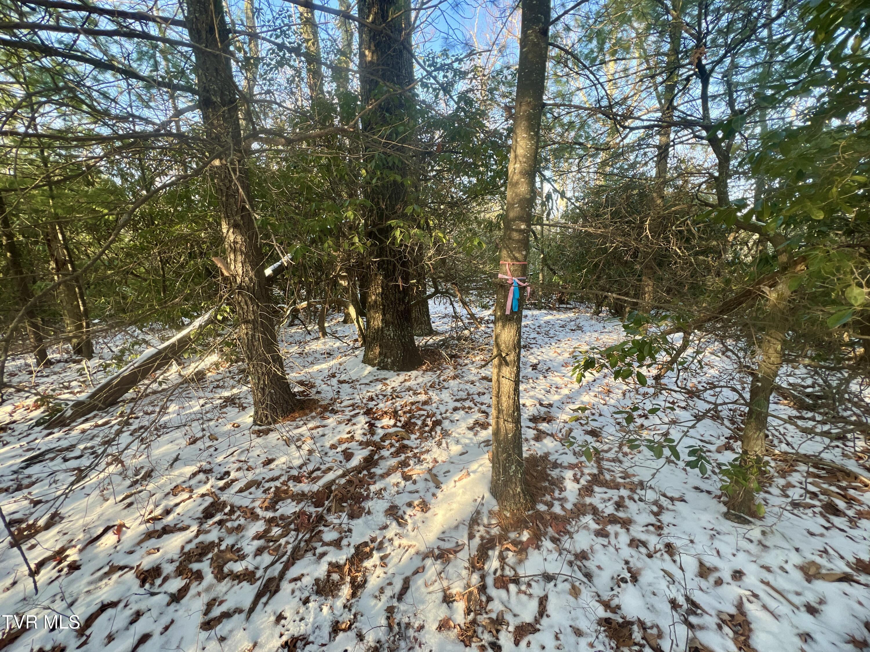 57.67/Ac Tbd Powder Branch Road, Elizabethton, Tennessee image 7