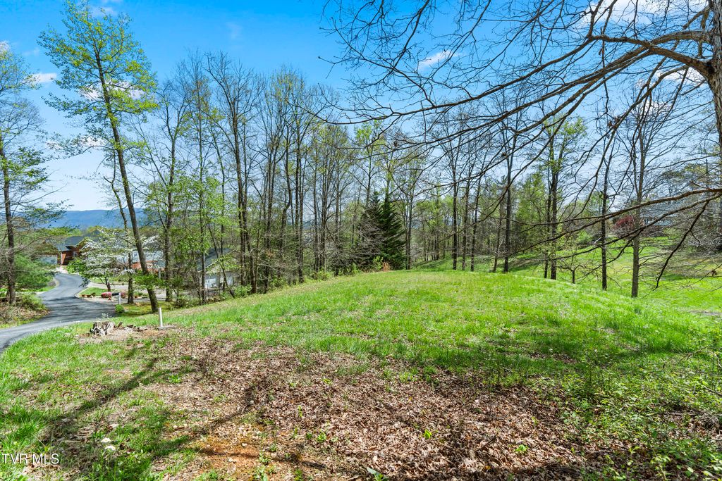 Photo of Tbd Arnold Palmer Drive, Greeneville, TN 37743 (MLS # 9993630)