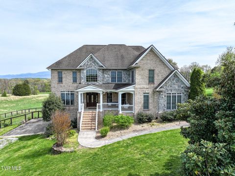 Photo of 1625 Lick Hollow Road, Greeneville, TN 37743 (MLS # 9995689)