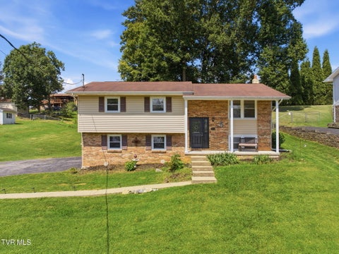 Photo of 464 Springfield Drive, Bristol, TN 37620 (MLS # 10000469)