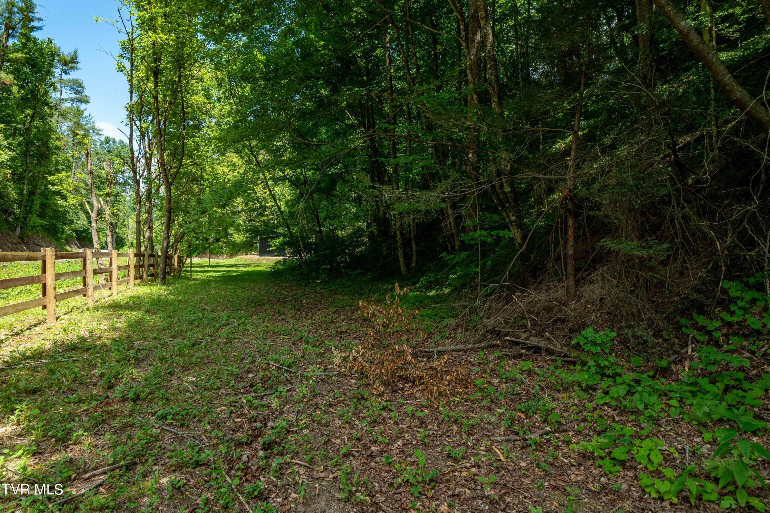 937 Troublesome Hollow Road Road, Bluff City, Tennessee image 40