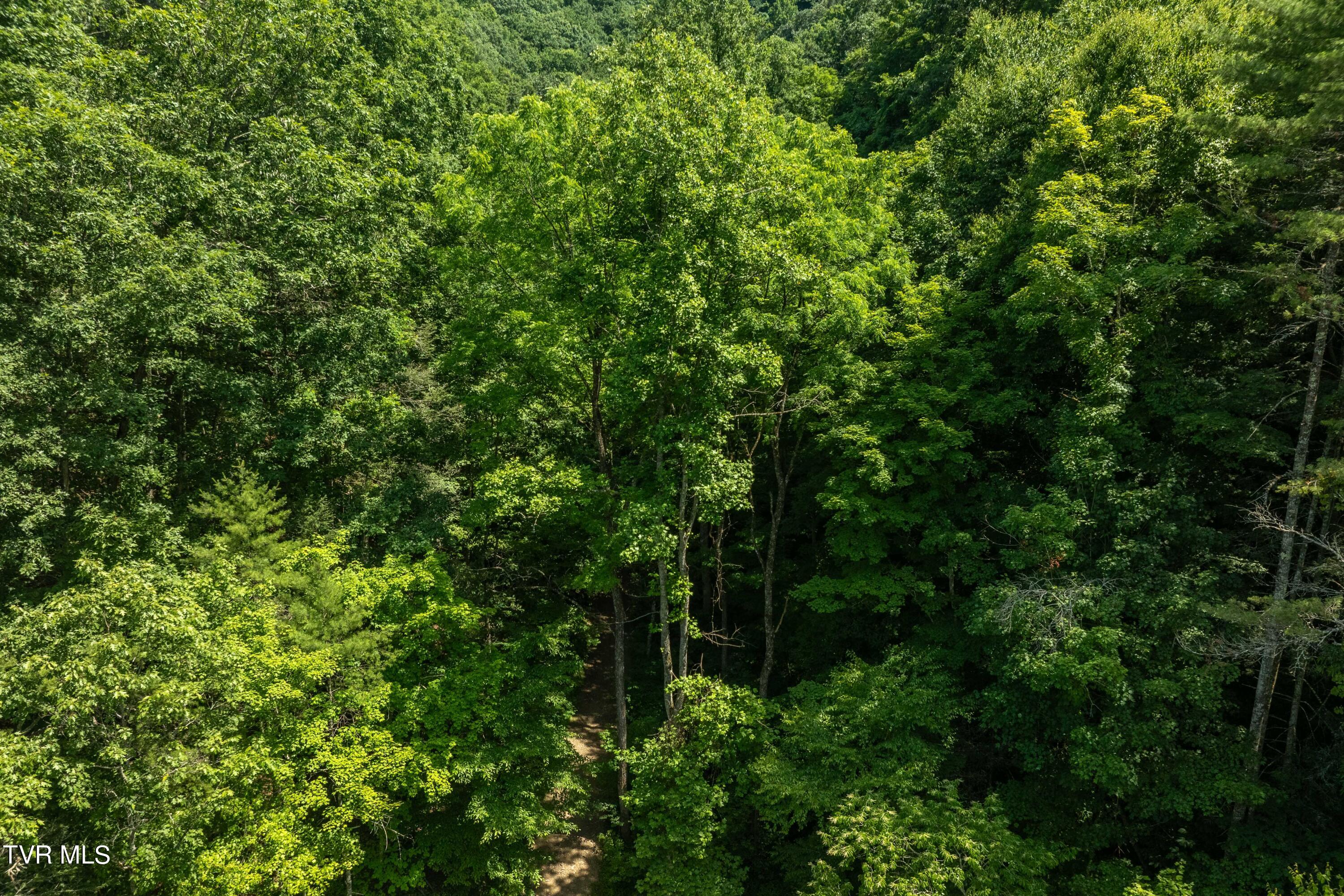 937 Troublesome Hollow Road Road, Bluff City, Tennessee image 19