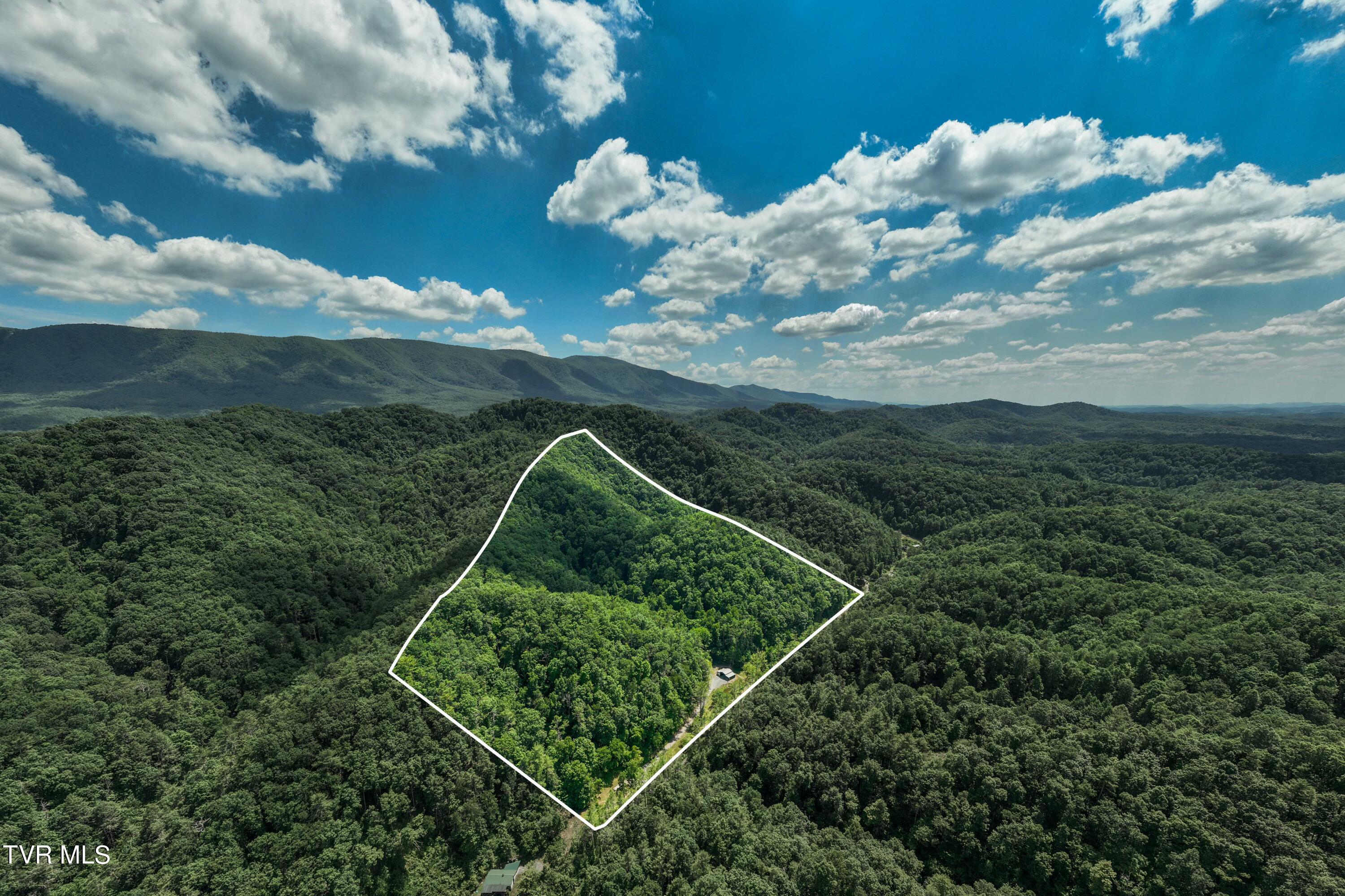 937 Troublesome Hollow Road Road, Bluff City, Tennessee image 5