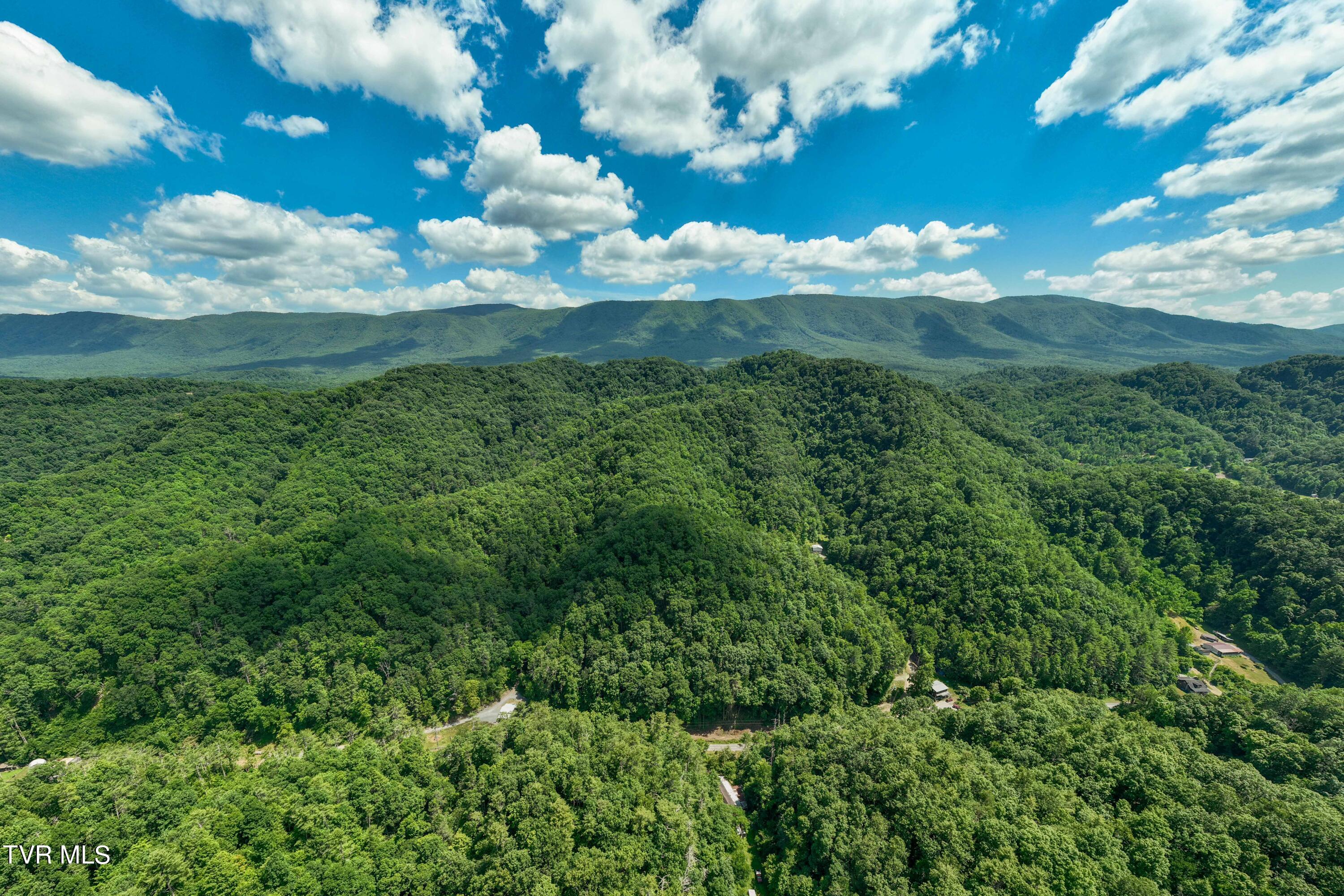 937 Troublesome Hollow Road Road, Bluff City, Tennessee image 2