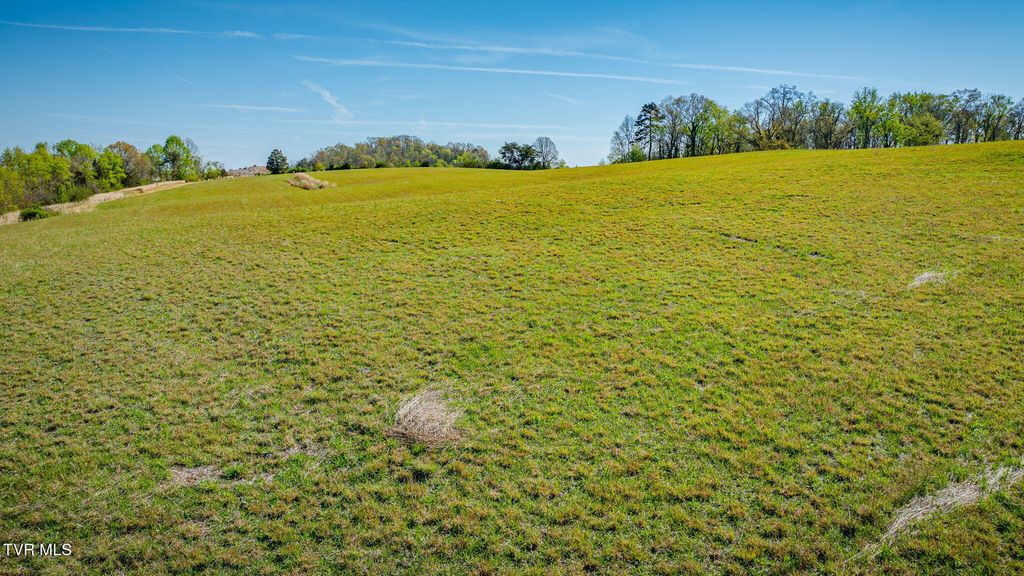 Photo of 14 Morgan Road, Greeneville, TN 37745 (MLS # 9993660)