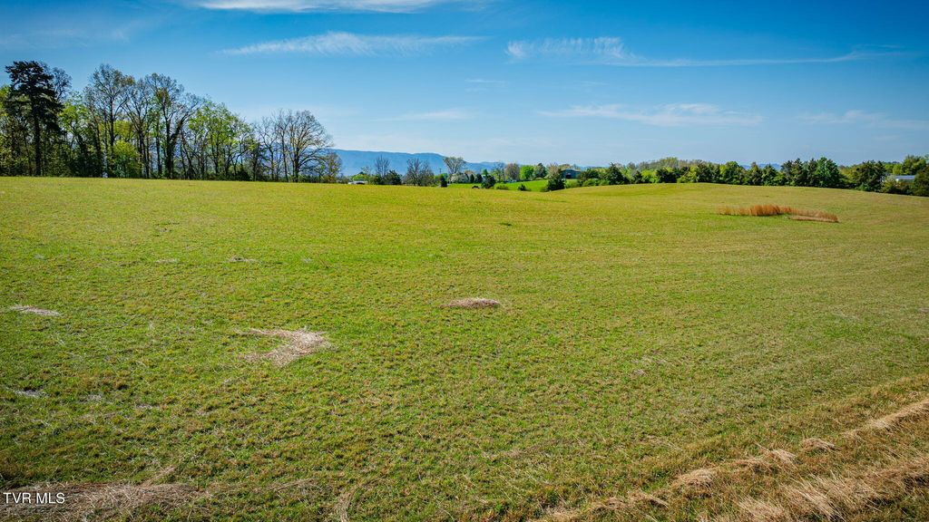 Photo of 14 Morgan Road, Greeneville, TN 37745 (MLS # 9993660)