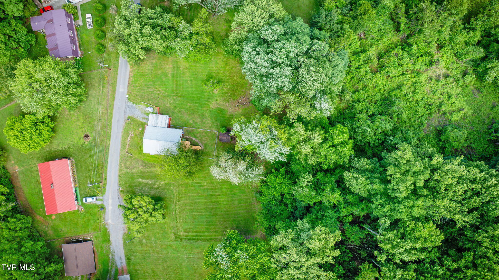 853 Pace Street, Kingsport, Tennessee image 31