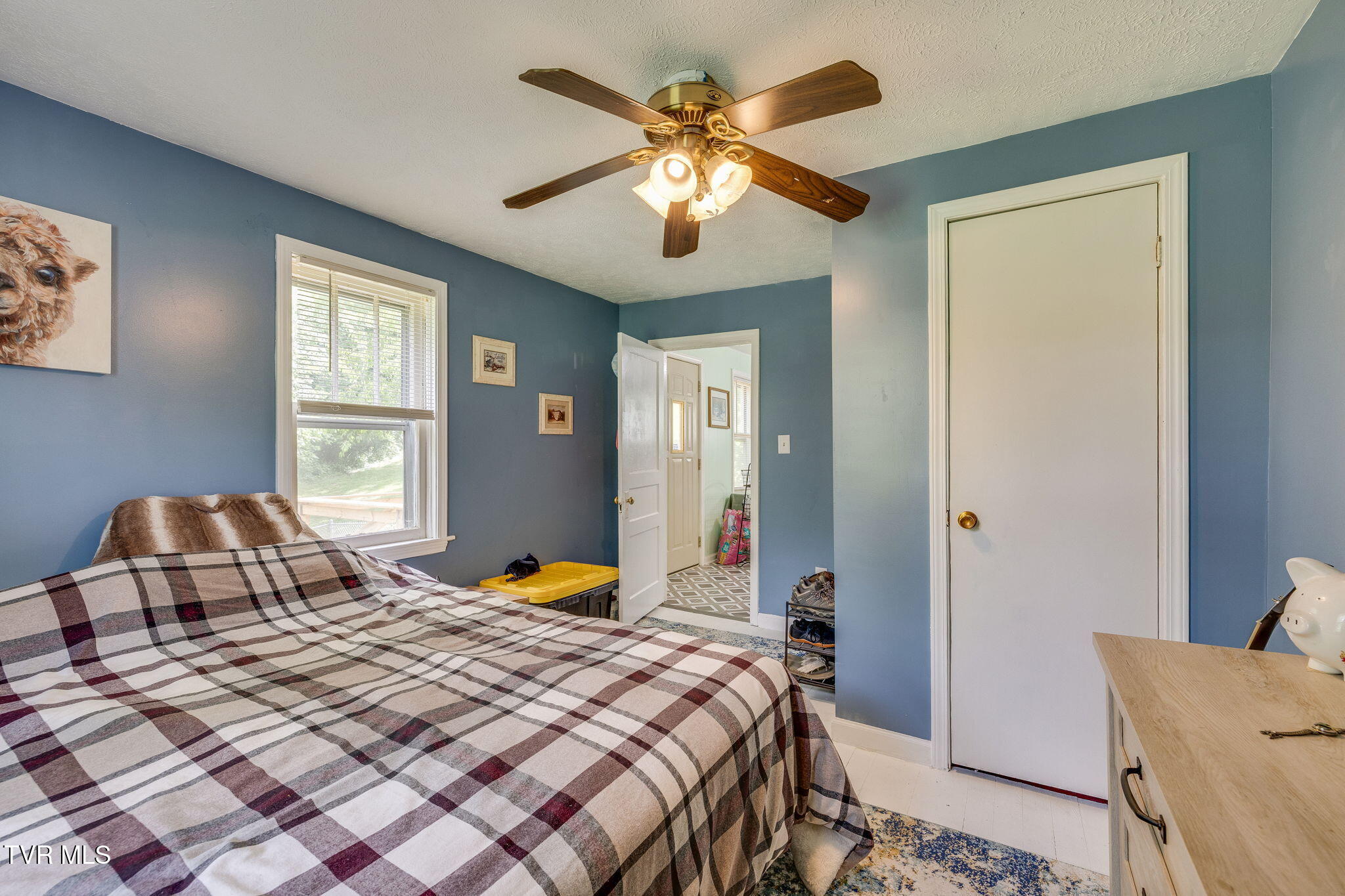 853 Pace Street, Kingsport, Tennessee image 13