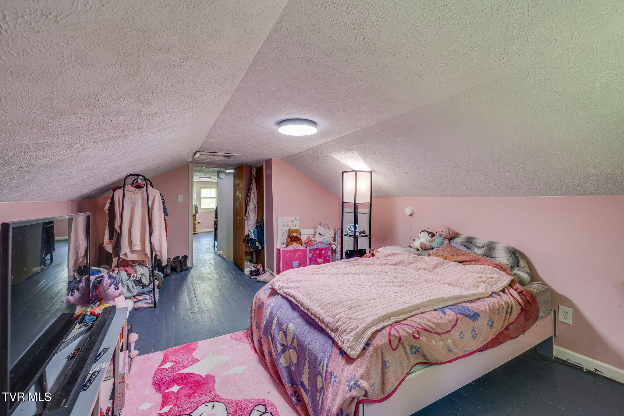 853 Pace Street, Kingsport, Tennessee image 22