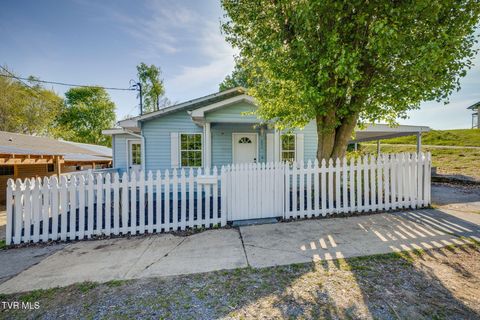 Photo of 600 Roan Street, Elizabethton, TN 37643 (MLS # 9993736)