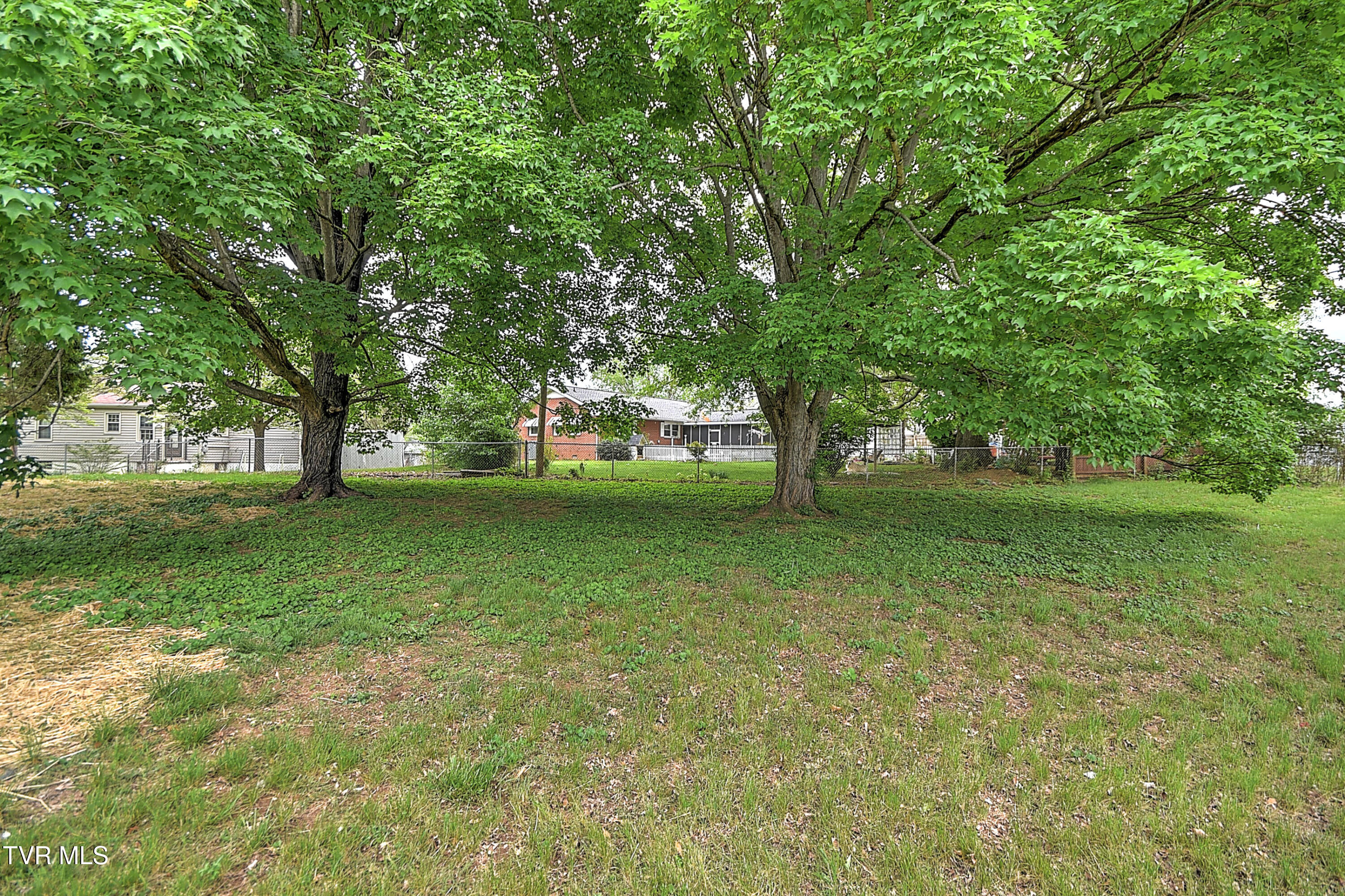 1313 Putnam Street, Kingsport, Tennessee image 48