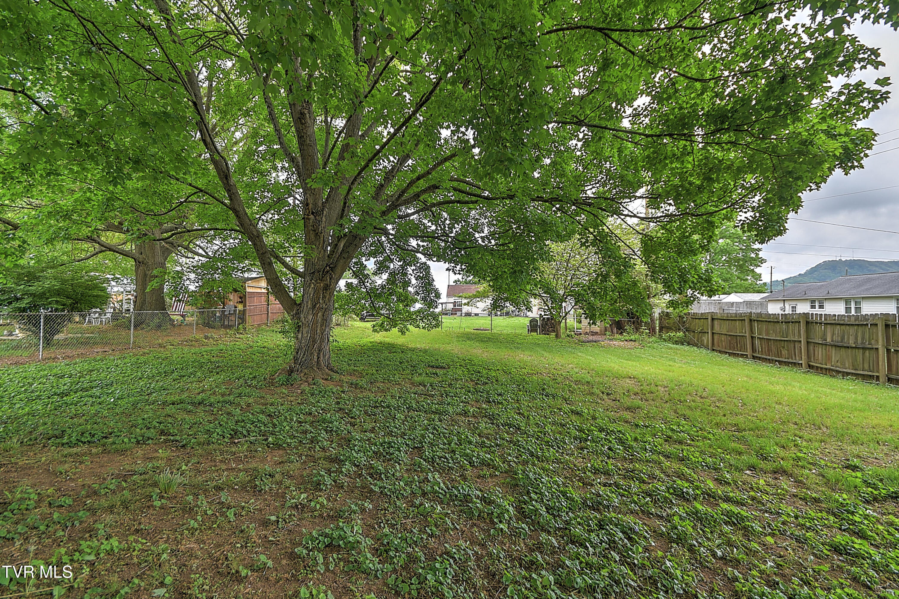 1313 Putnam Street, Kingsport, Tennessee image 44